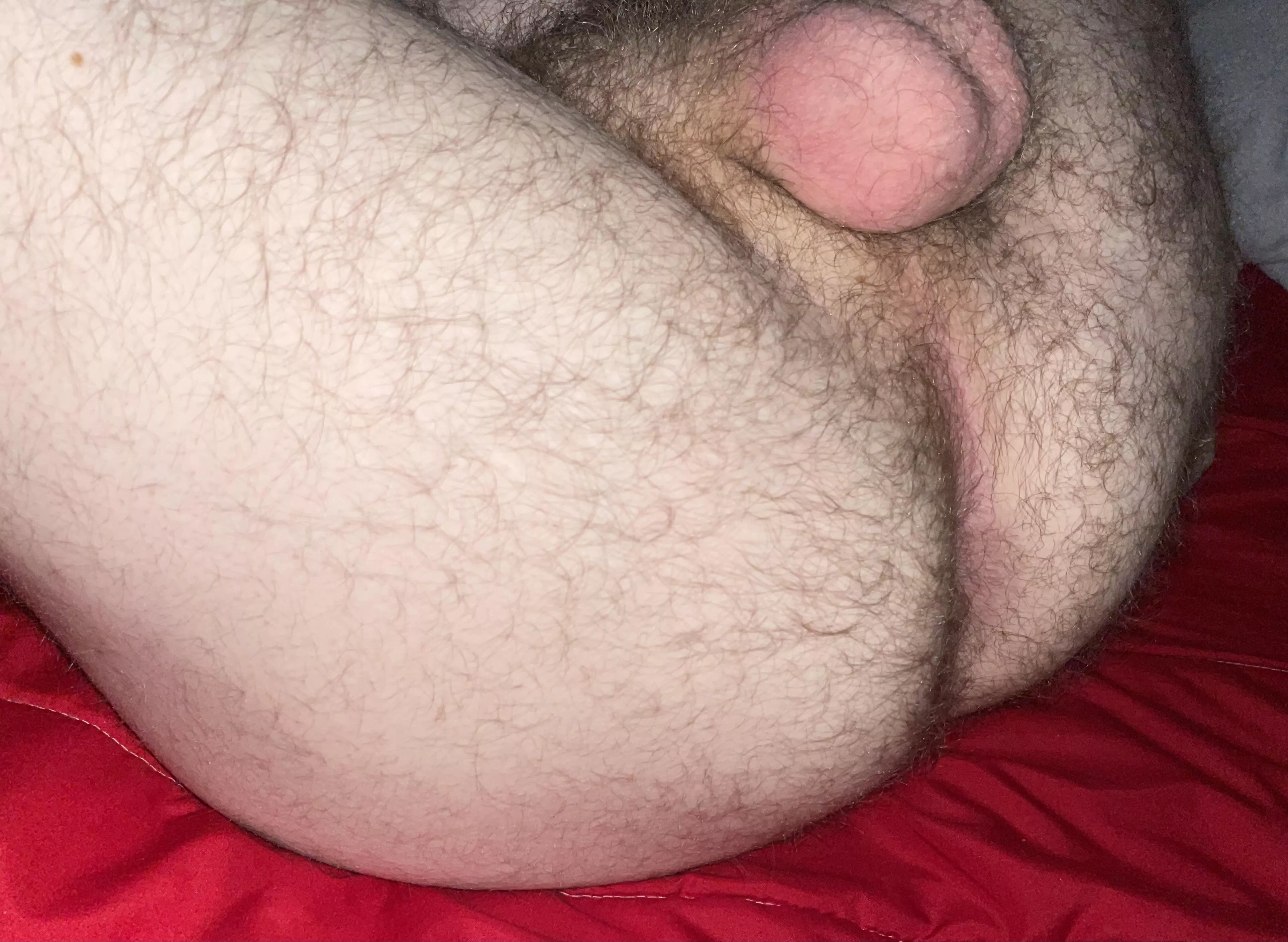 Who wants my fuzzy bum?