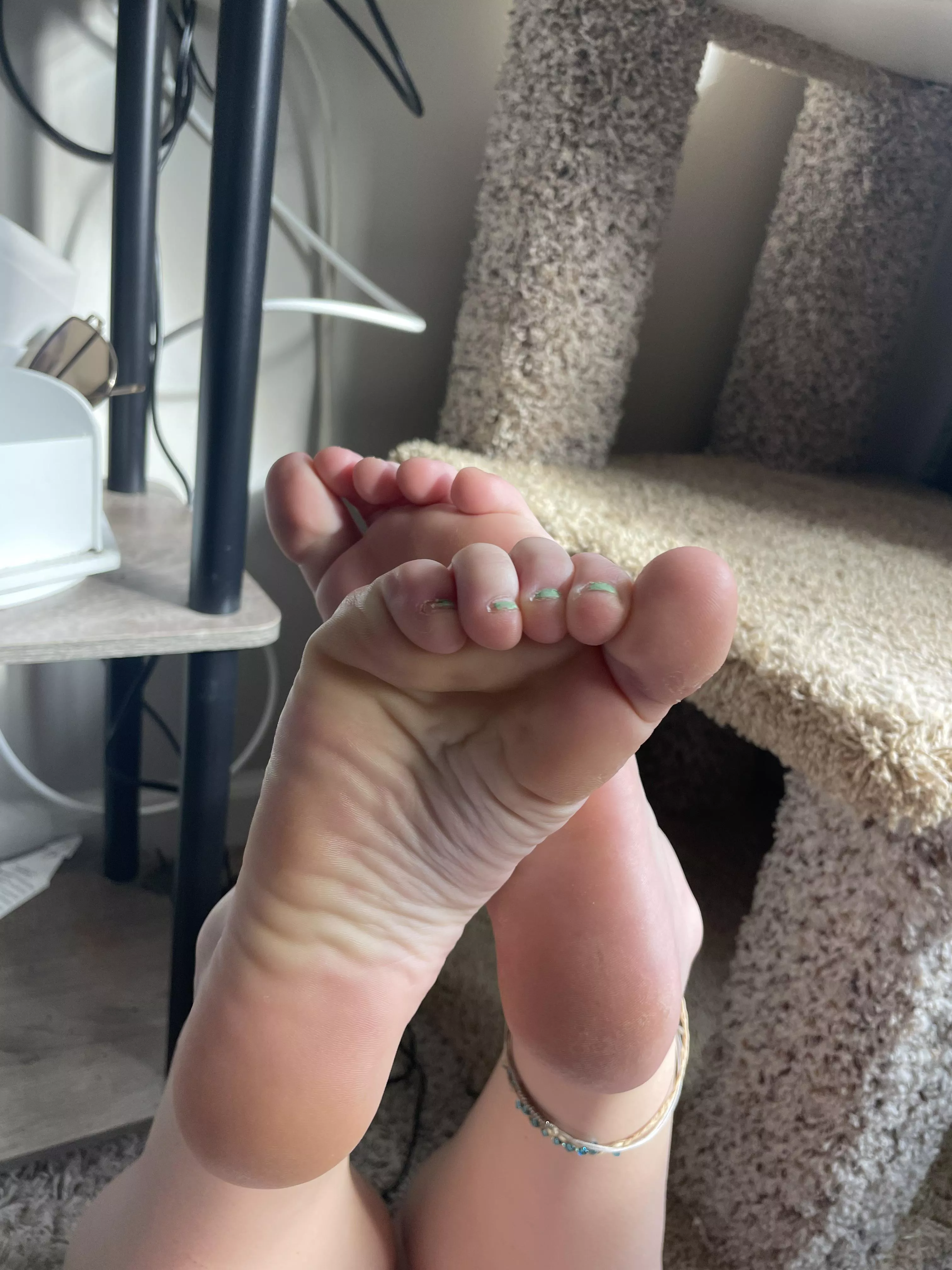 Who wants to be owned Who wants to be owned