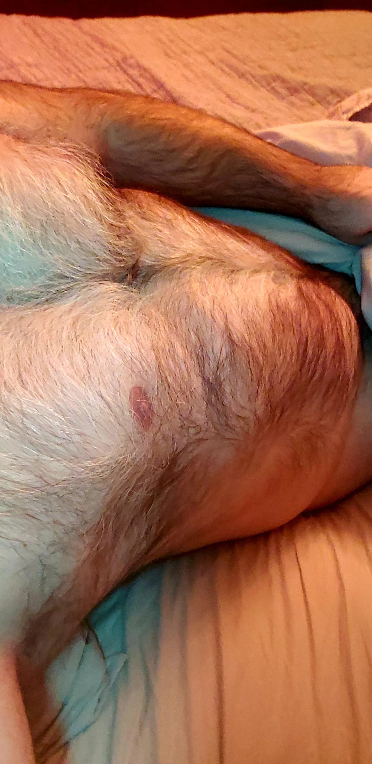 Who wants to come and snuggle?