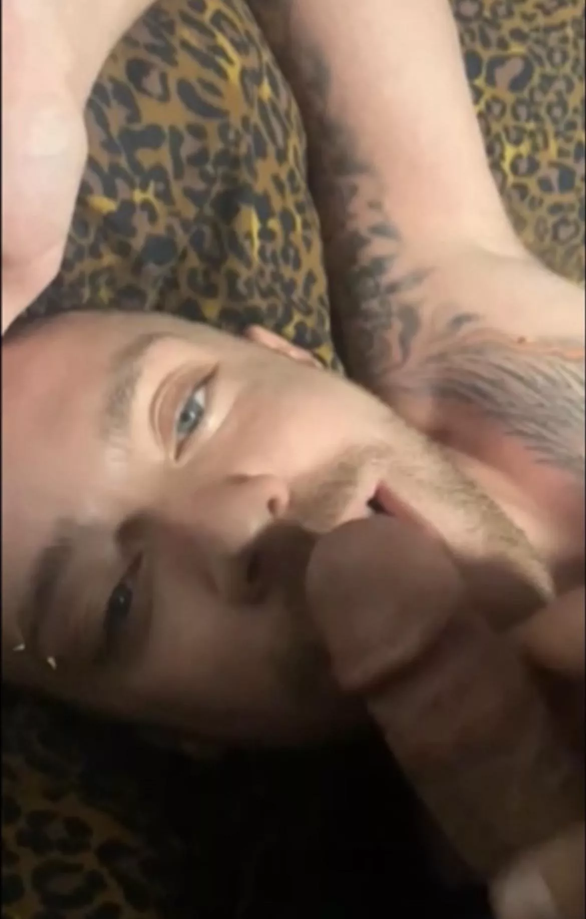 Who wants to feed me? 😈