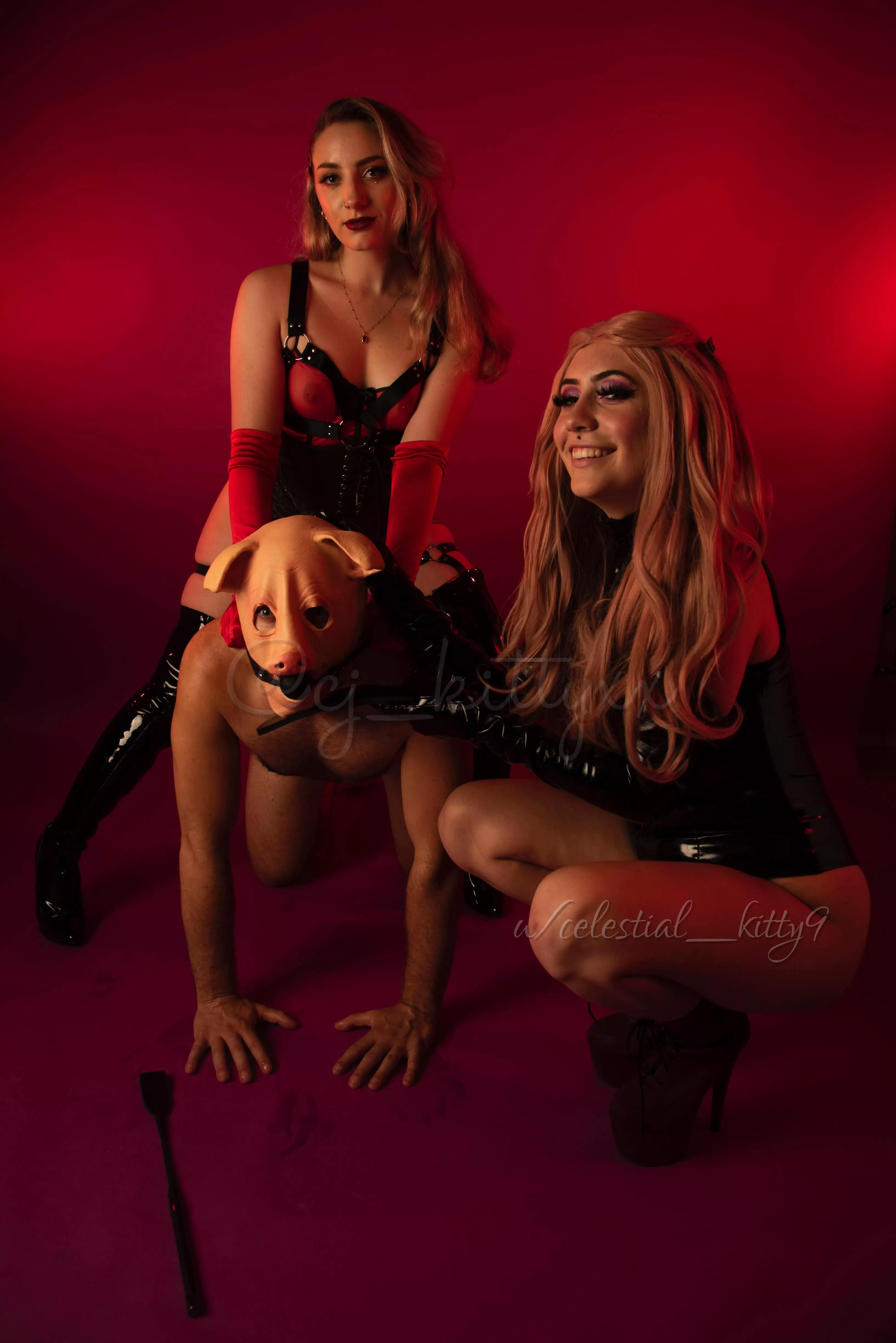 Who wants to join our piggy’s place?