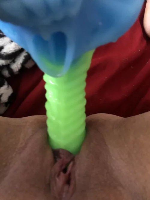 Who wants to play?