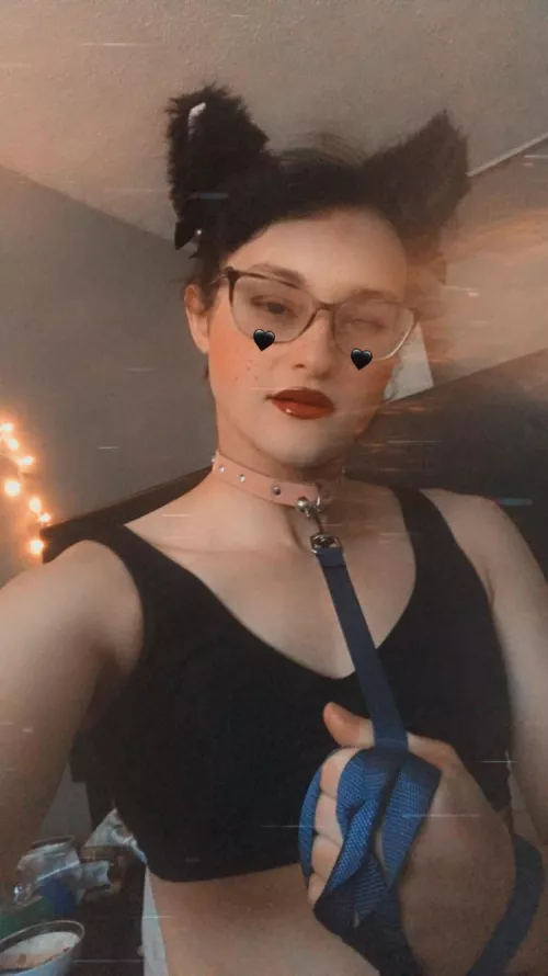 Who wants to play with this kitty *Meow* 😺