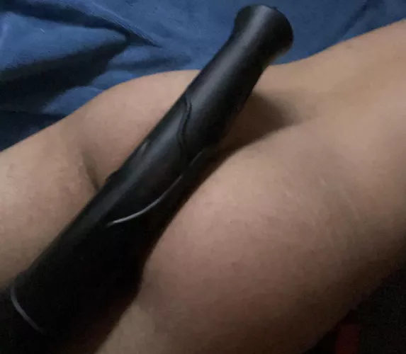 Who wants to see me take this up my ass?