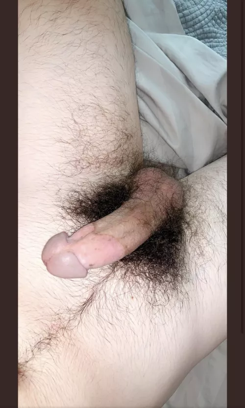Who wants to suck my hairy cock
