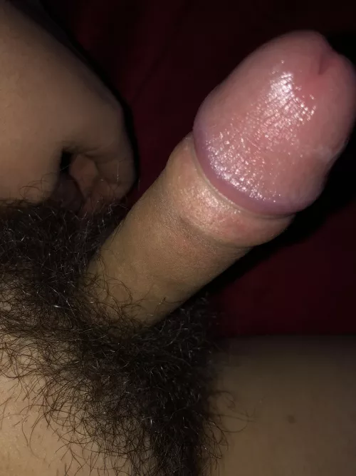 Who wants to suck on my dick [19]