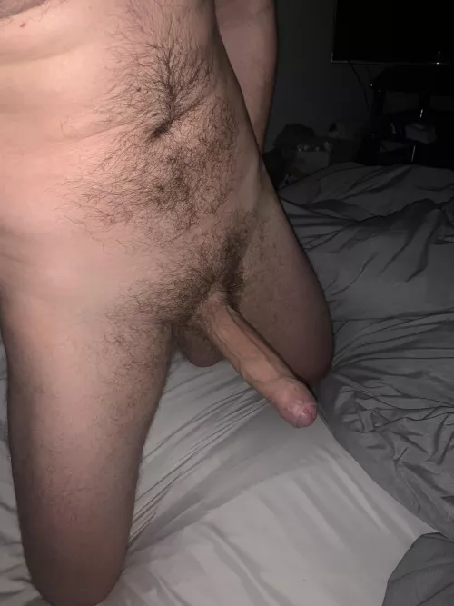 Who wants to suck on my uncut cock 😉