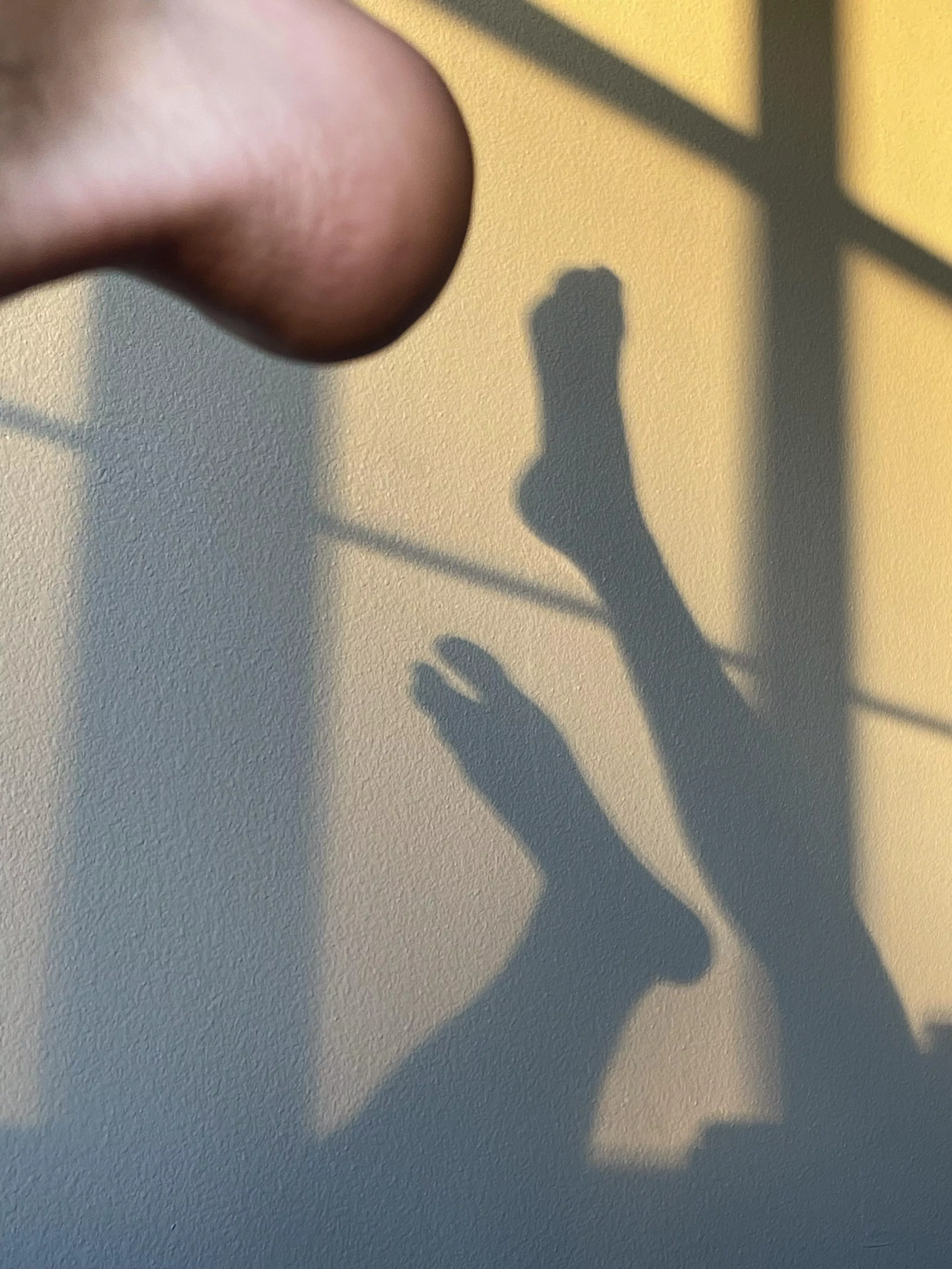 Who wants to worship these? Pm to worship them Who wants to worship these? Pm to worship them