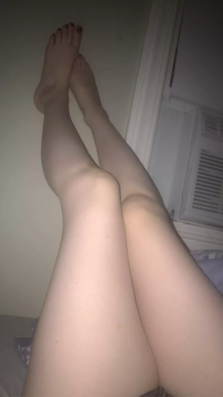 Whoever named the daddy-long-legs spider needs to unpack that in therapy 🕷