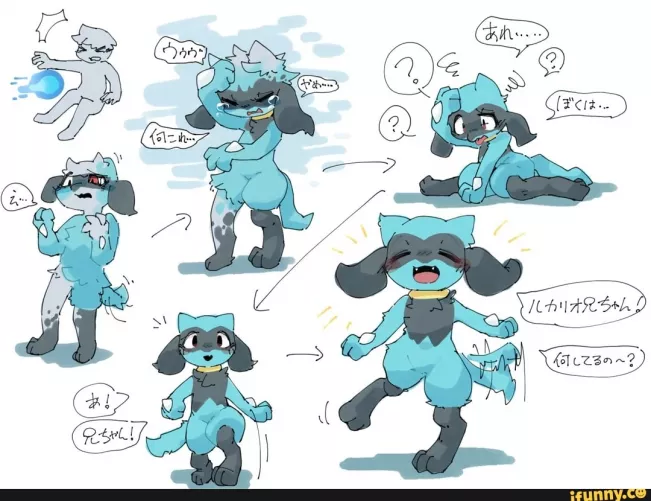 Wholesome riolu transformation