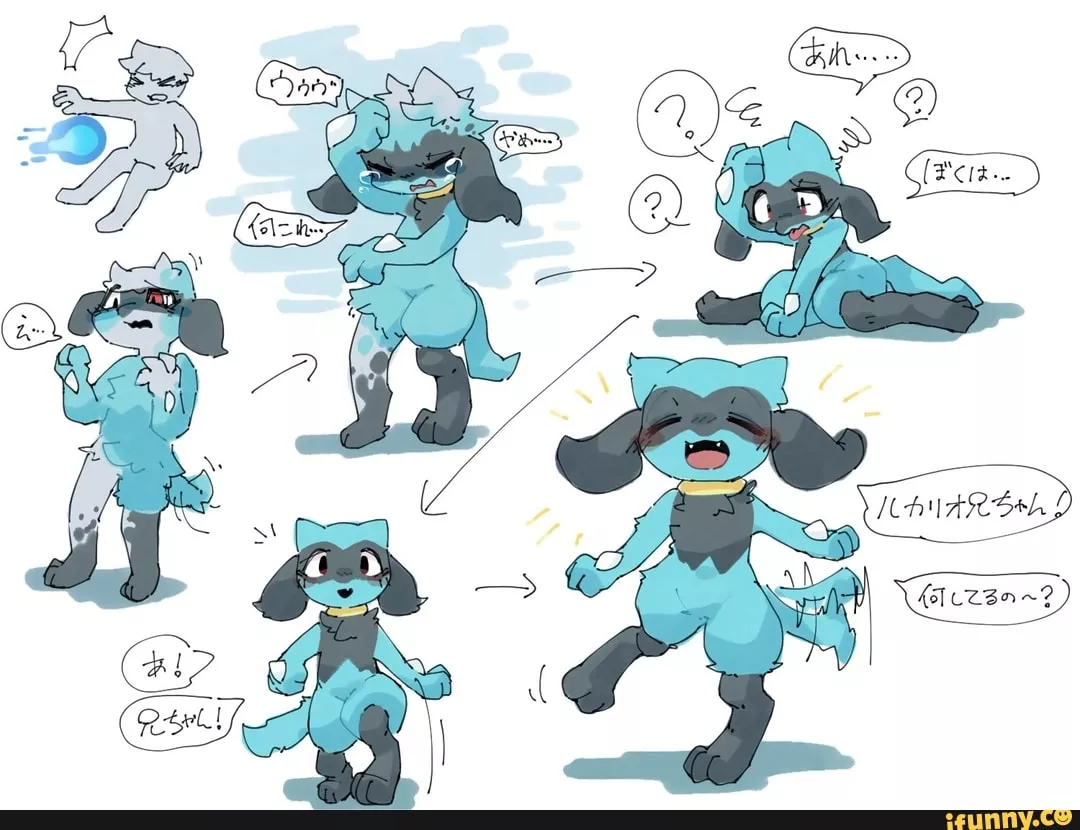 Wholesome riolu transformation