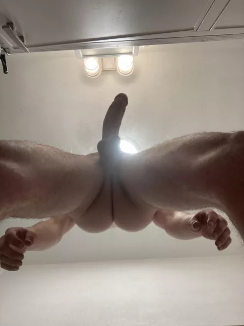 Who’s getting under this Christmas tree?