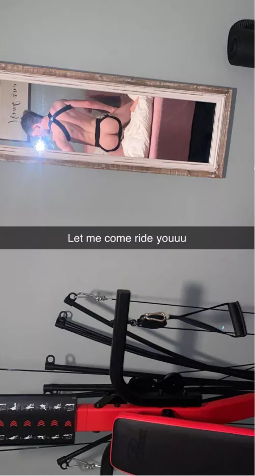 Whoโs going to ride me?
