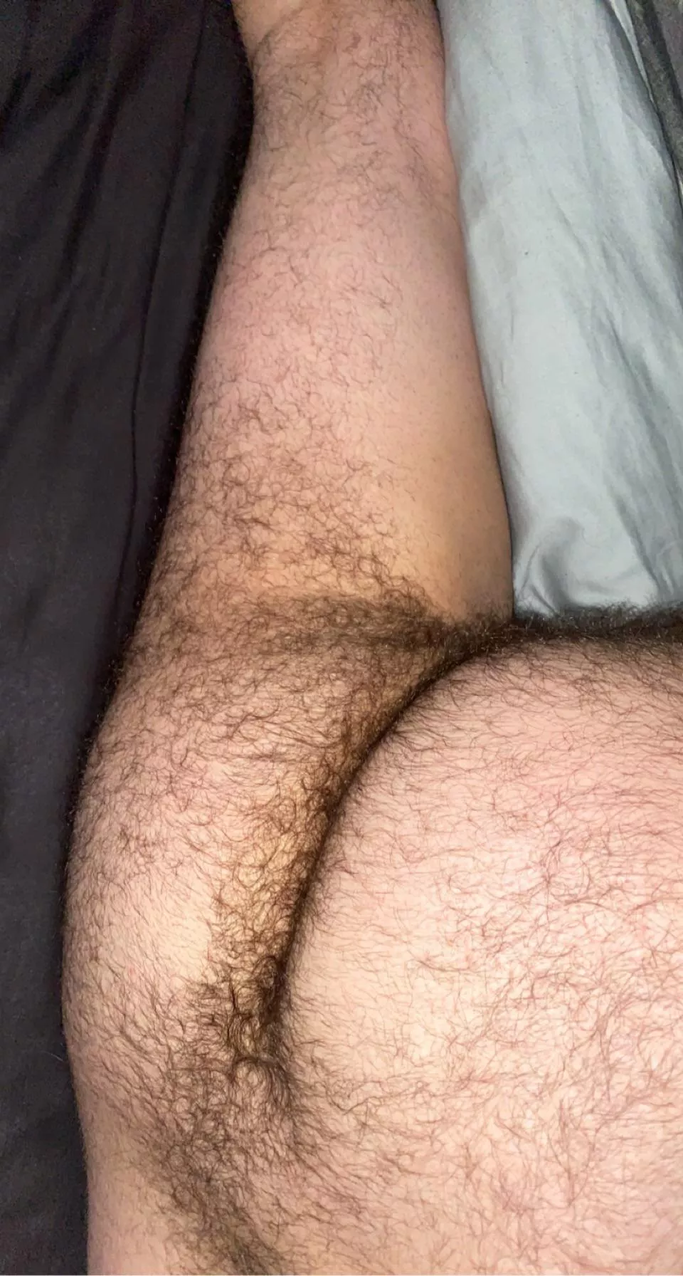 Who’s going to use my hairy ass while my bf watches?