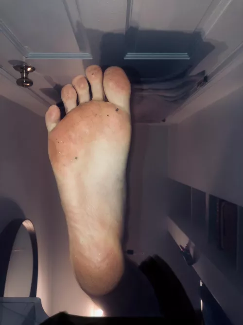 Who’s gonna clean these up? 😈