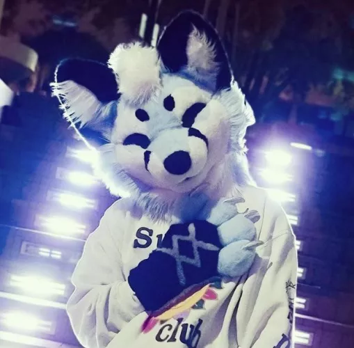 Why are we furries? Iv always wondered how all of us gotten into this! Tell me your story of how you became a furry!