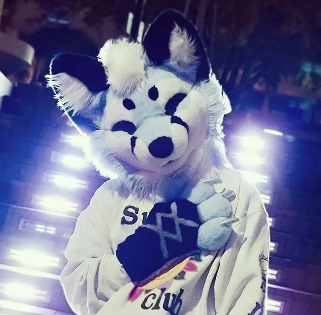 Why are we furries? Iv always wondered how all of us gotten into this! Tell me your story of how you became a furry!