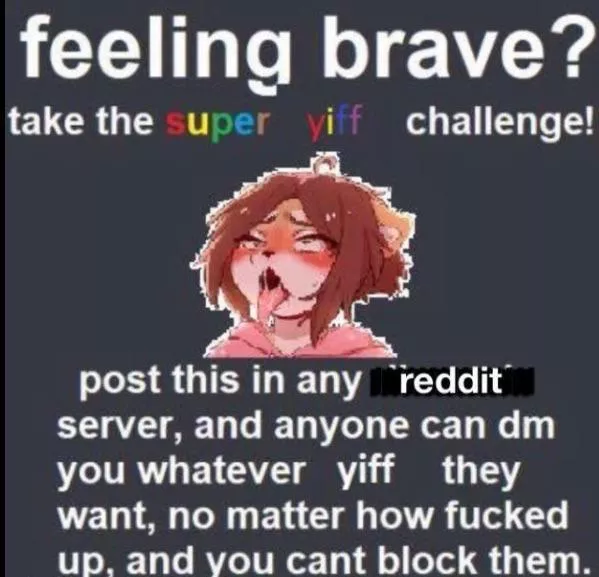 Why the hell not Why the hell not