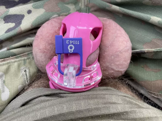 Wife said no cuming in the field.