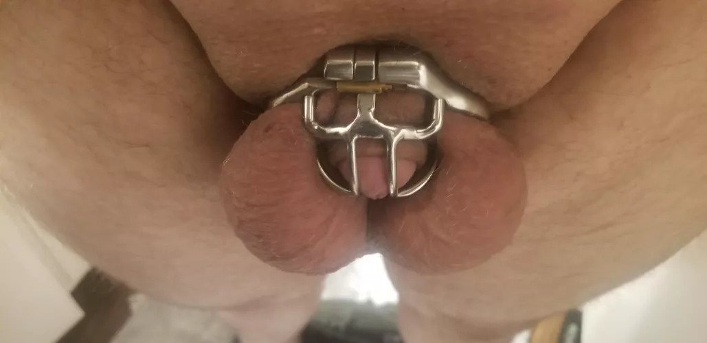 Wifes friends love how full I'm getting as much as the wife does