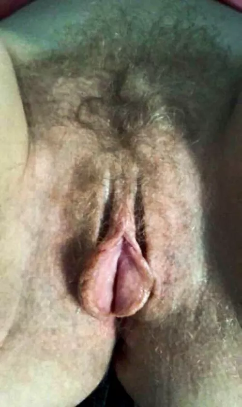 Wife’s Wild Hairy Blonde Pussy and wide open Big Meaty Labia.