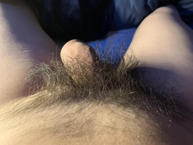 Wild bush update. Not sure I can keep this up. Before doing anything, I think I should share😉