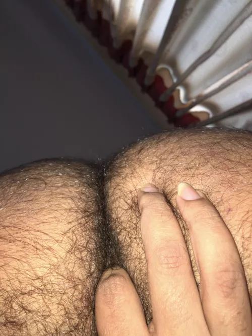 wilderness exploration