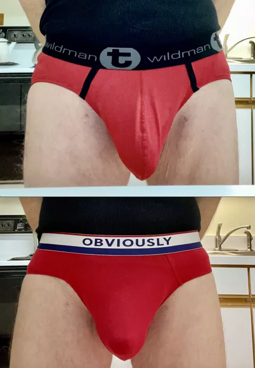 WildmanT Briefs In Red VS Obviously Briefs In Red. Which Is Hotter?