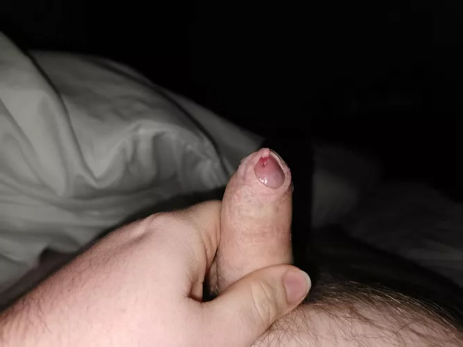 will someone just suck me off?!?! [33]