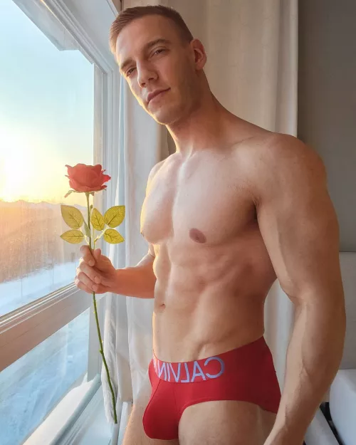Will you accept this rose ?🌹