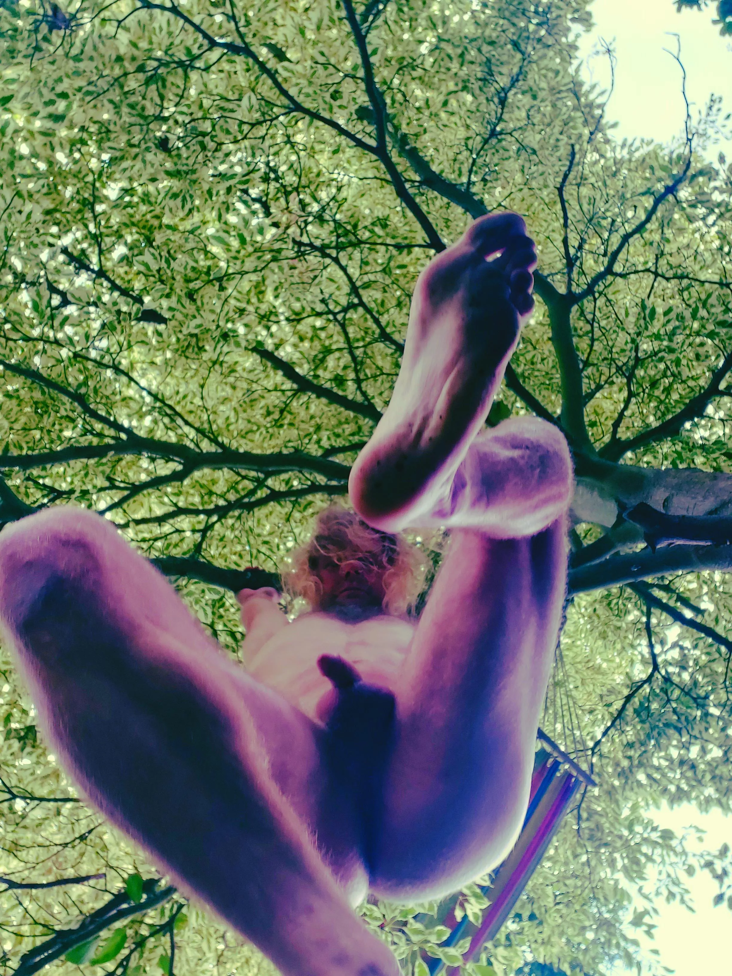 will you catch me if I fall?