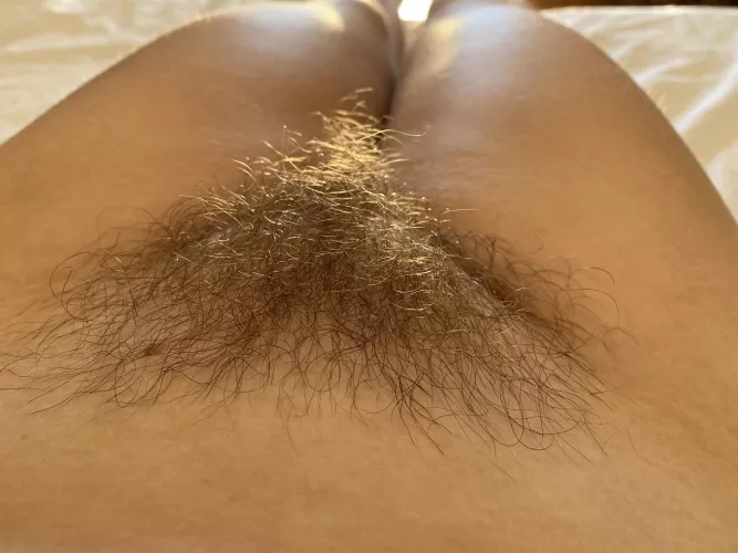 will you cum on my bush?