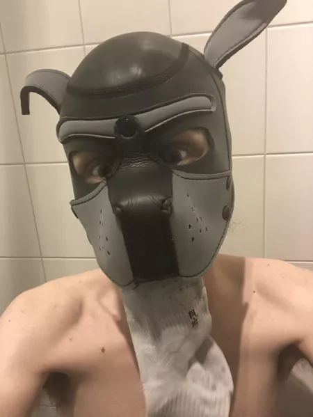 Wish it was someone else’s sock I am playing with! Wrufff!! 🐶 Don’t be surprised if I won’t give it back! 😏