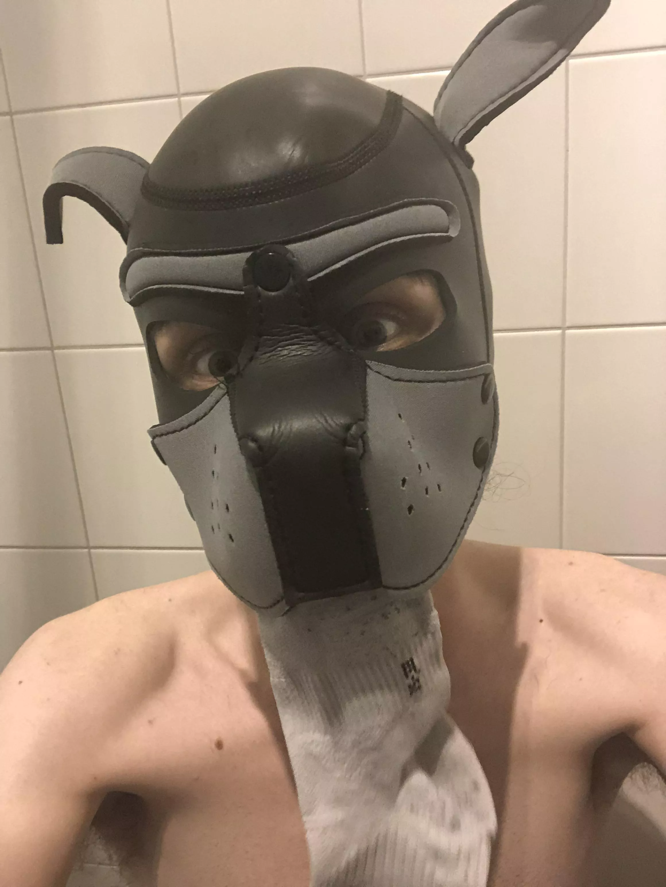 Wish it was someone else’s sock I am playing with! Wrufff!! 🐶 Don’t be surprised if I won’t give it back! 😏