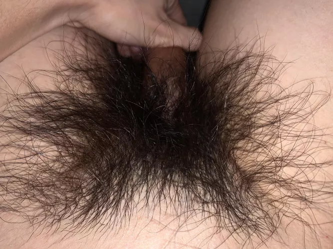 Wish someone could give my hairy thick bush some attention. Any takers?