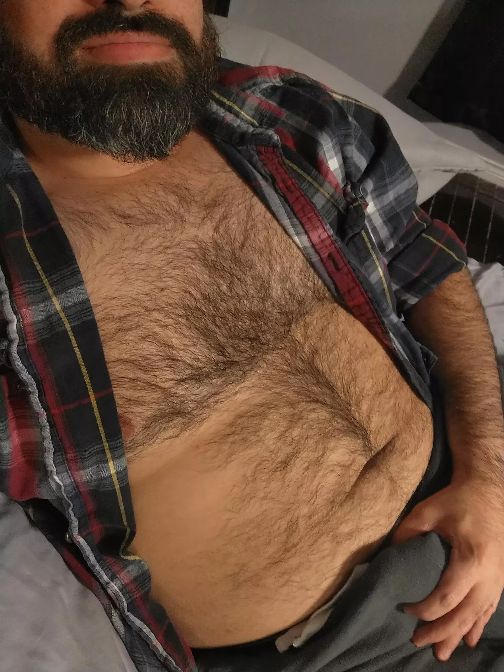 Wishing there were a pair of hands running through my chest hair right now. Wishing there were a pair of hands running through my chest hair right now.