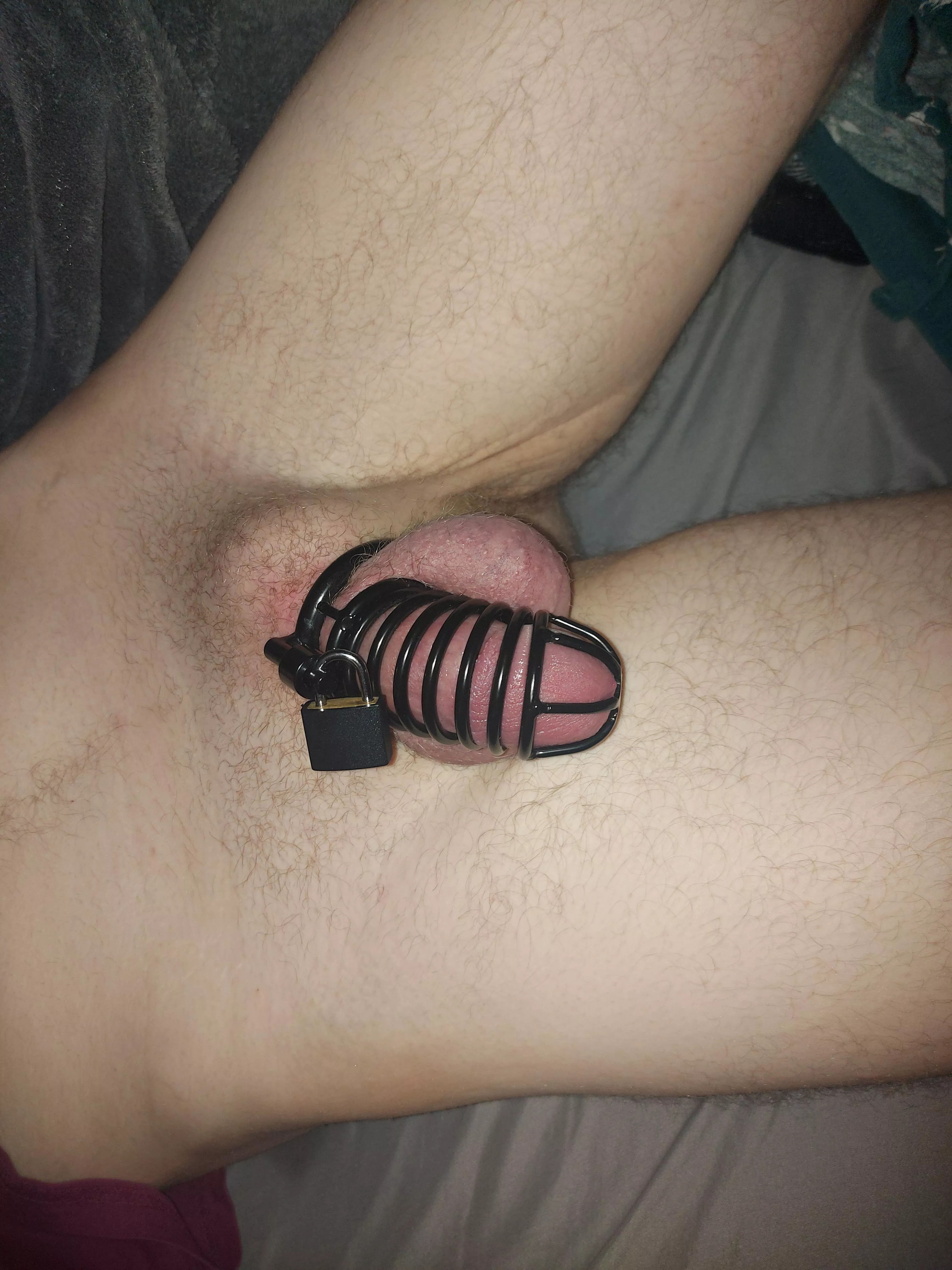 Wo wants to try to make me cum in my cage