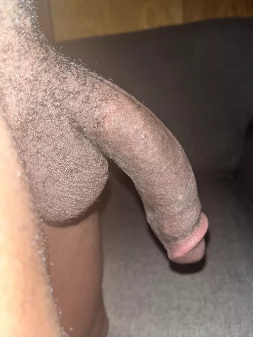 Woke up with something wanting attention.