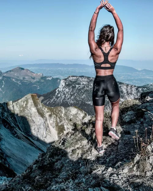 Wolf in the mountains