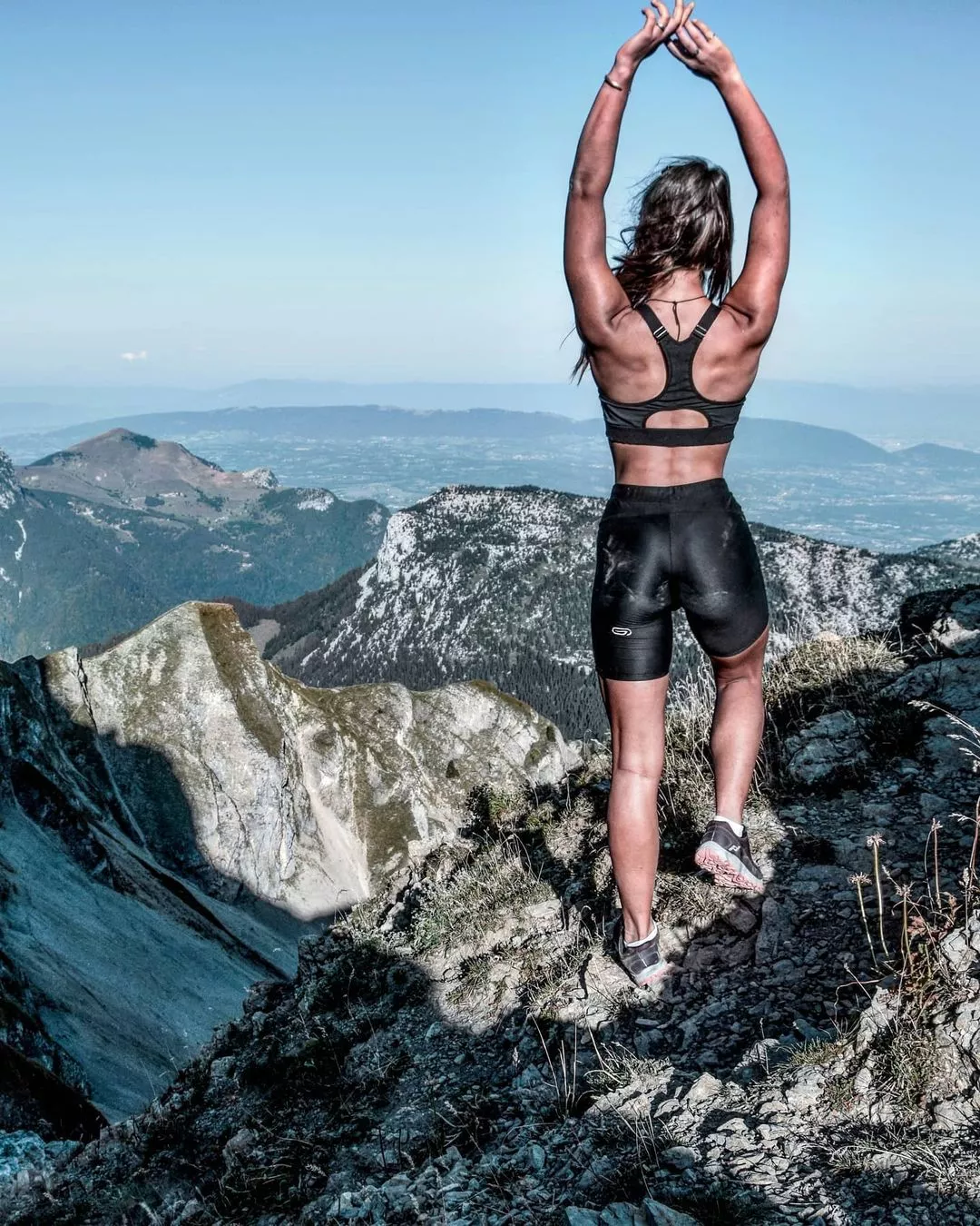 Wolf in the mountains