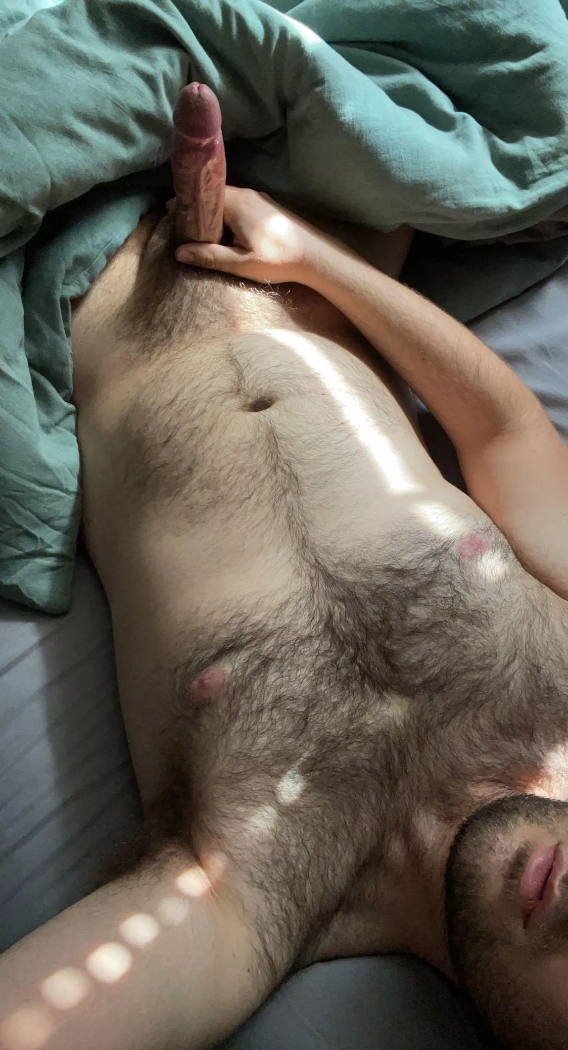 Wood morning Wood morning
