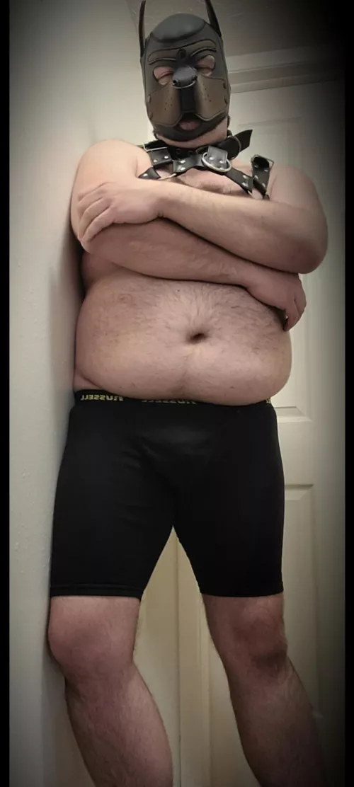 Woof! Happy Saturday!