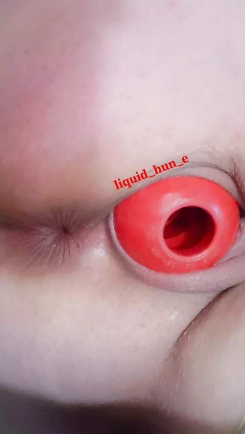 Woof. I couldn't [f]ind a bone