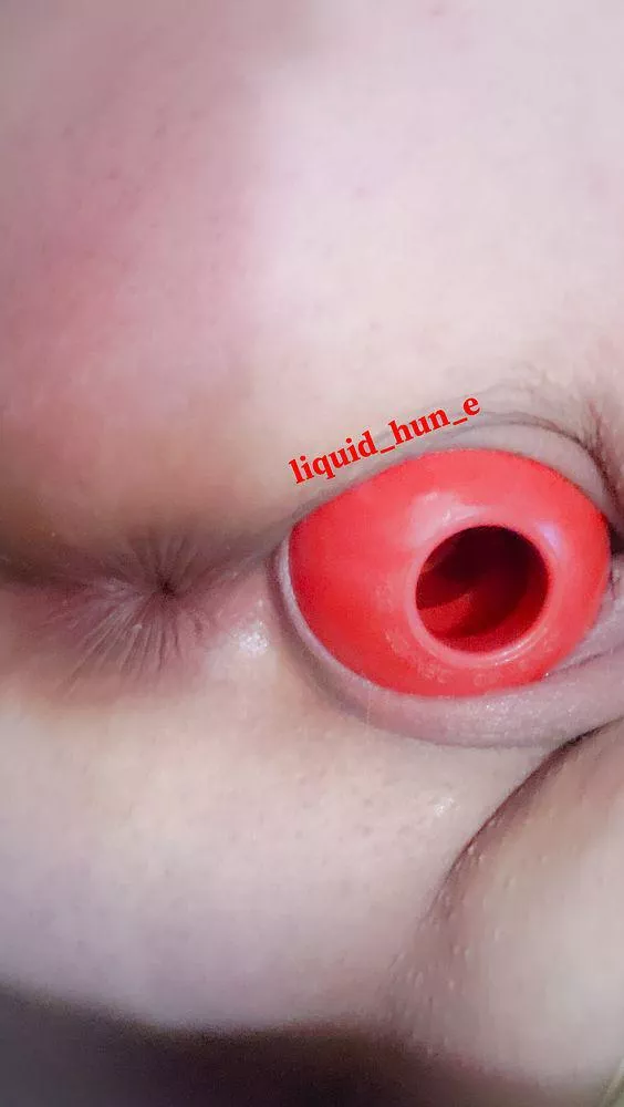 Woof. I couldn't [f]ind a bone