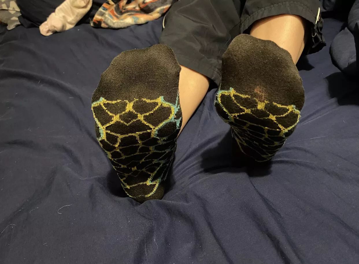 Wore these socks for 10 days straight at work! Super sweaty and stinky! You can even see through them a bit! 🥵 Wore these socks for 10 days straight at work! Super sweaty and stinky! You can even see through them a bit! 🥵