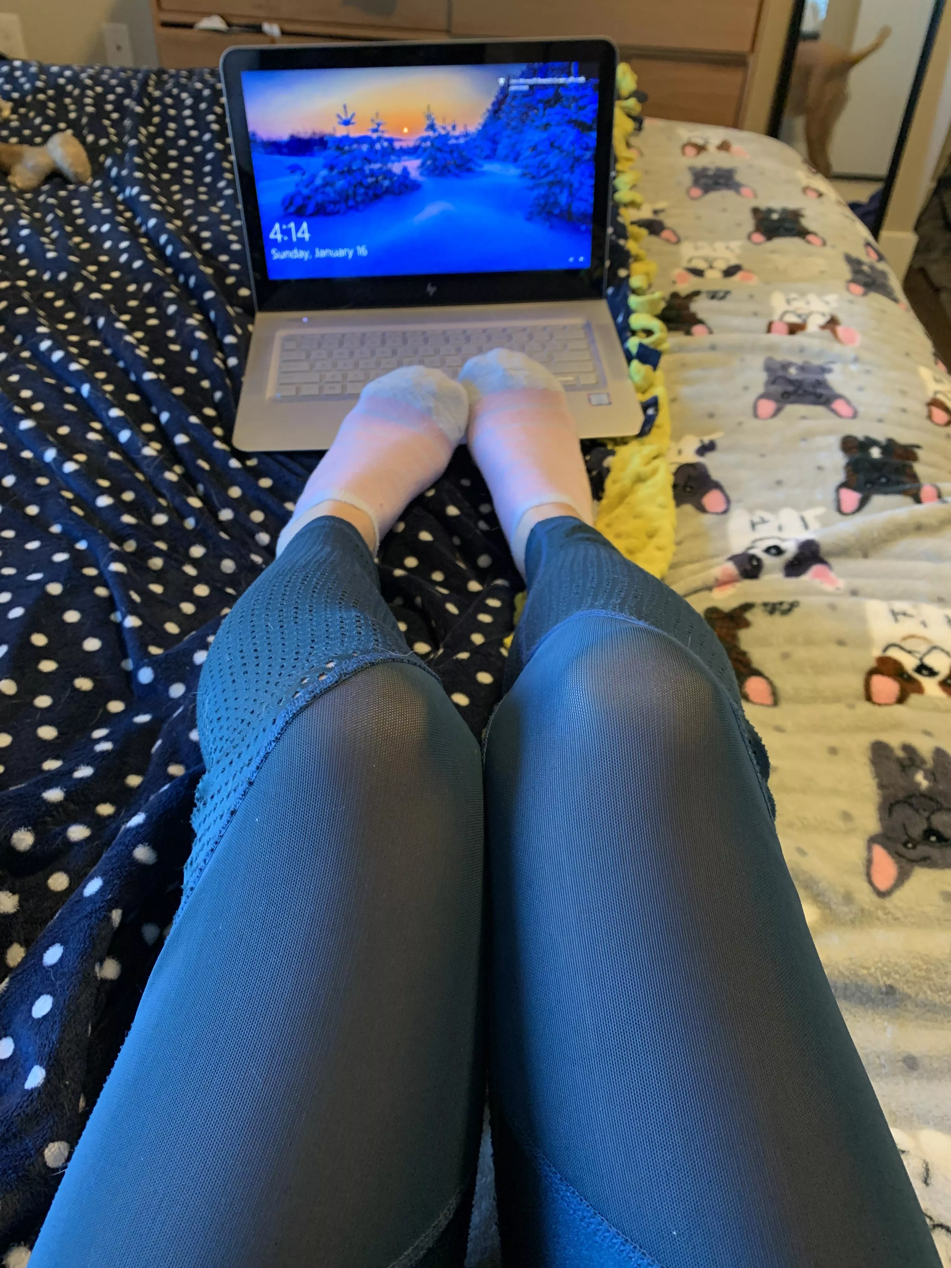 Working from home can be so distracting with socks like these Working from home can be so distracting with socks like these
