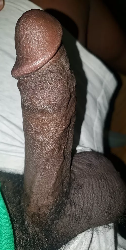 Working with this from home. Who wanna keep me company in my chats?