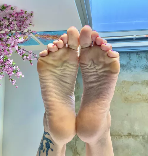 Worship my wrinkly soles 👅 lick every wrinkle 1 by 1 like a good boy
