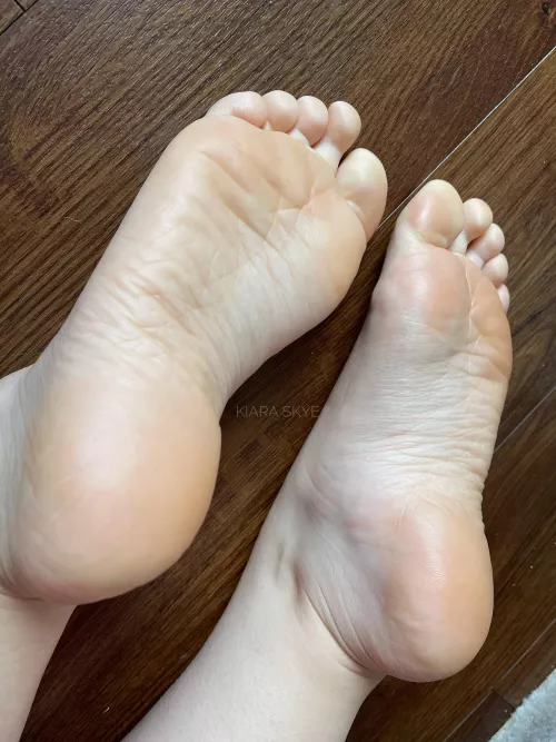 Worship or tickle?!🪶