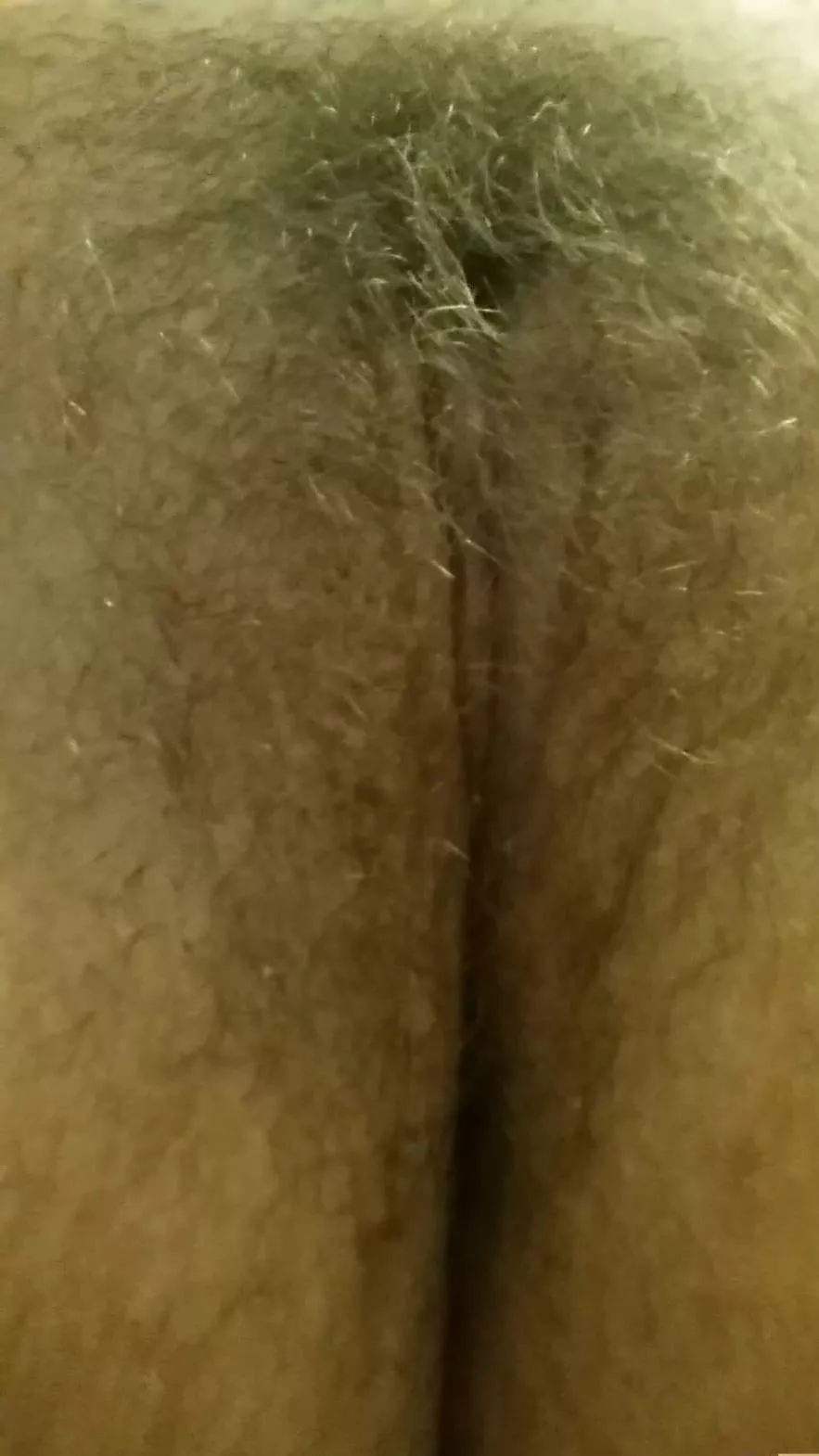 Would look better with cum coating my hair and lips. Would look better with cum coating my hair and lips.